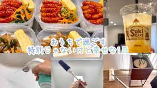 【Vlog】お気に入りのお掃除アイテムと冷凍お弁当☺︎【お弁当】