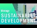 Sustainable Development and Fishing Practices