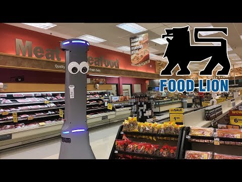 food lion employment handbook requirements food lion employment handbook requirements