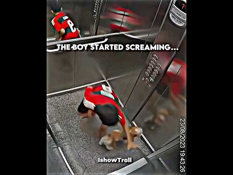 Kid Saves Dogs Life … 😭☠️