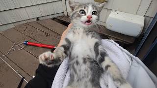 This Tiny Kitten Was Trapped in a Pipe for 18 Hours 🐱🚨