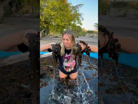 LIMPEI A PISCINA DE CHERNOBYL!☢️🤮