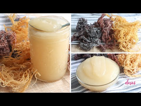 How To Make SEA MOSS GEL!  In 3 Easy Steps!
