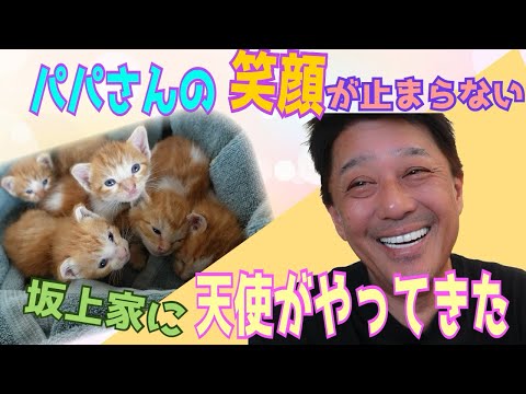 【新たなご縁】坂上パパ!ついに天使を保護致しました