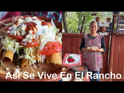 Como Hacer Flautas Bien SABROSAS Y ECÓNOMICAS,  Asi Se Vive En El Rancho