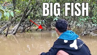 Monster Rawa Keruh, Memasang 10 Tajur di Hutan Banjir, Apakah Ada Sambaran Ikan Besar?