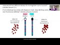 Genetics of Sickle Cell Trait