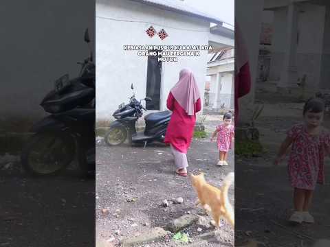 Tingkah Kucing Kocak! Selalu Nekat Ikut Naik Motor 😂🐱