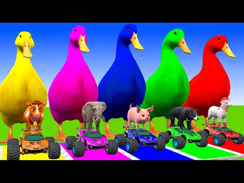 5 Giant Duck Cartoon,Cow,Elephant,Tiger,Lion,Dinosaur,Paint Wild Animals Crossing Fountain Animation