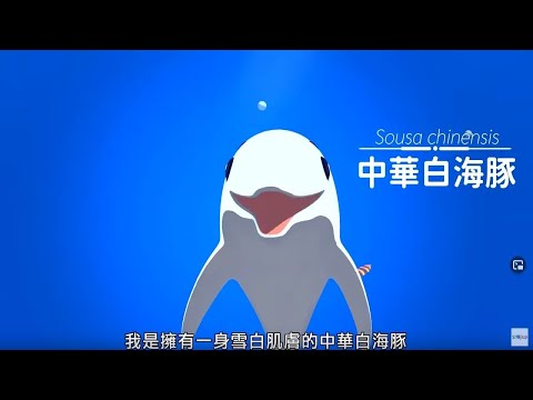 《中華白海豚》｜ #台灣特有種 2 ｜配音  #侯佩岑 - YouTube(3分03秒)