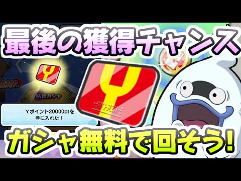 ぷにぷに Yポイント獲得最後のチャンス！今回イベントのガシャはおすすめだぞー！　妖怪ウォッチぷにぷに　レイ太