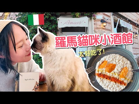 羅馬的貓咪咖啡廳竟然是小酒館！義式創意料理也太好吃了吧~｜傲嬌爸的養貓日常