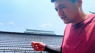 房车旅行一个人真的很无聊，准备回去上班，房车不要了#房车旅行 #车贩子日常
