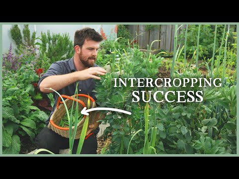 Planting Trick for Small Spaces, Rambling Roses & More Plantings | The Kitchen Garden Ep7