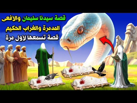 قصة الحية المدمّرة والغراب الحكيم في عهد النبي سليمان؟ وما السر العجيب الذى فضحه الغراب للنبي سليمان