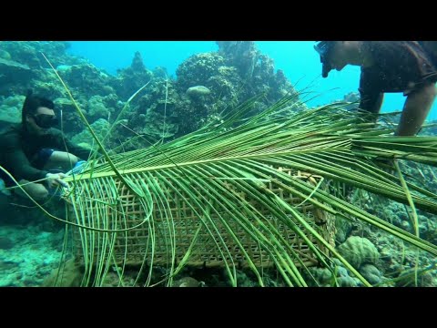 The Best FishTrap Talaga Ito, Daming Laman