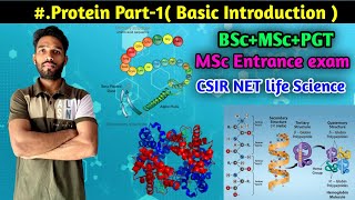Protein Part-1 || Protein Basic Introduction || BSc || MSc || NEET || CSIR NET Life Sciences || PGT