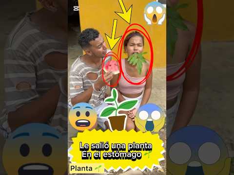 Una planta en la boca 🌱😍❤️ 💯 #viral #youtubeshorts #shortvideo #comedy #love