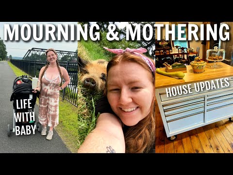 VLOG | losing our pig ducky, merch, motherhood & house updates