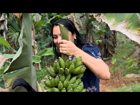 เดตเดพเดดเดเตเดเตเดฒ เดตเตเดเตเดเดพเตป เดชเตเดฏเดคเดพ