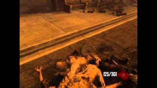 BO2 First Person Zombies