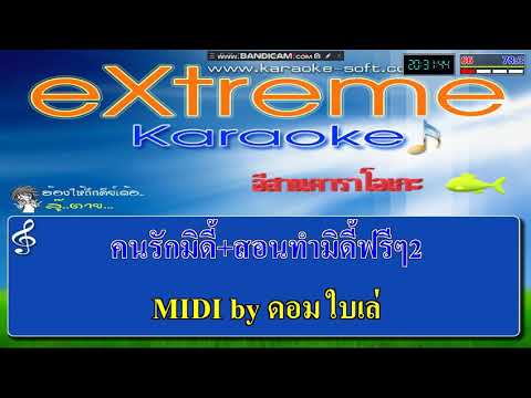 เมาแล้วกะคิดฮ้อด กระต่าย พรรณิภา [cover]-[midi]-[karaoke]