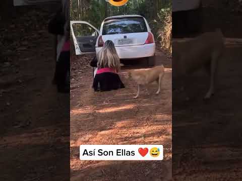 Son únicas #humor #tiktok #comedia #mujeres #únicas #shorts #tiktok