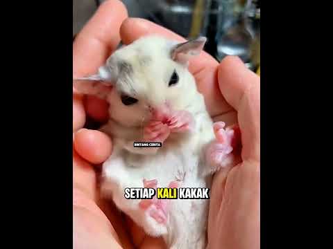 Diselamatkan Saat Bayi, Kini Jadi Keluarga yang Tak Terpisahkan! #shorts #youtubeshorts