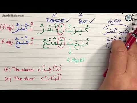 Level 3 📝 L2: Practice Arabic Passive Voice | Past & Present Forms Made Easy | ENG-ARA Examples