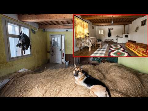Spent 90 days renovating an old HISTORICAL house