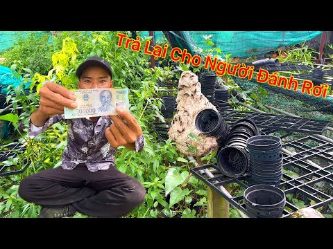 NGHỀ MƯU SINH CÔNG KHAI SỐ TIỀN NHẶT ĐƯỢC CỦA RƠI VÀ GIÚP NGƯỜI DÂN BẮT BA TỔ ONG
