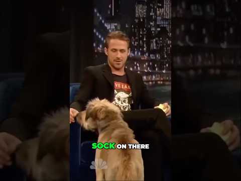 Ryan Gosling’s Dog Has Everyone Obsessed!