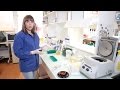 DNA Purification Techniques and Procedures