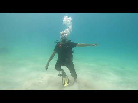 Dr Zakir Naik Scuba Diving in the Indian Ocean close to Wasini Island in Kenya