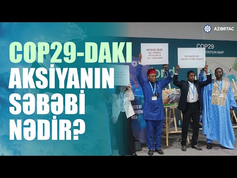 Fransanın nüvə sınaqlarının mənfi təsirlərinə görə təzminat ödəməsi tələbi ilə aksiya keçirilib