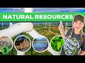 Renewable and Non-Renewable Resources