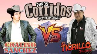 Lo Mas Nuevo de Chalino Sanchez ft El Tigrillo Palma 💥 Puros Corridos Mix Para Pistear Exitos