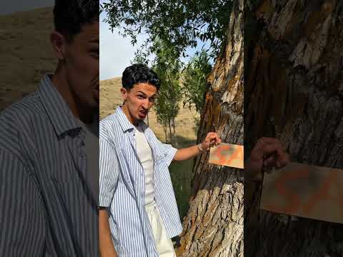 KADİRCAN DEDE ORMANDA #youtube #komedi #comedy #youtubeshorts #youtuber