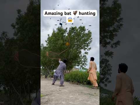 Amazing bat hunting 🦇😱 #farming #hunting #entertainment #shorts #viralshorts #youtubeshorts