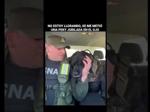EL ULTIMO SERVICIO DE PEKY