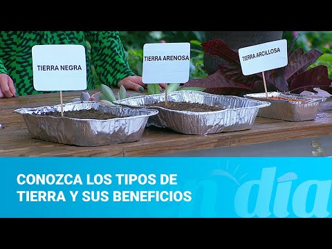 Conozca los tipos de tierra y sus beneficios