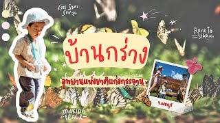     🦋 ว้าวมาก! นั่งรถอุทยานไปดูผีเสื้อนับพันตัว ที่บ้านกร่าง แก่งกระจาน🐯จากัวร์พาเที่ยว