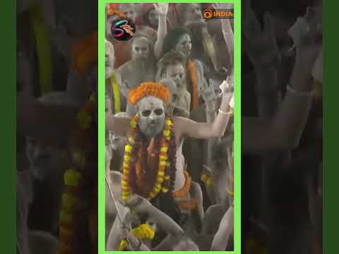How they Count the Money in Temple  #shortvideo #shorts