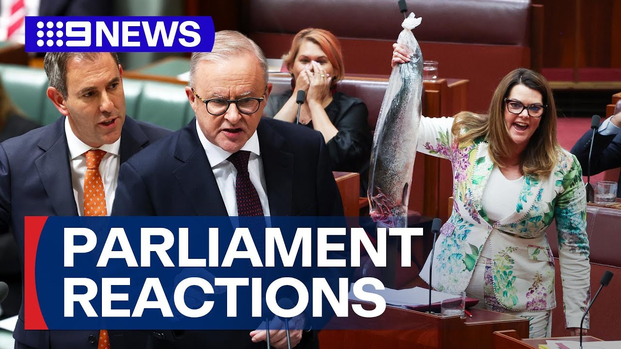Election battle lines drawn after 2025 Federal Budget | 9 News Australia