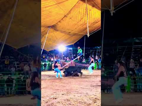 new circus game unlock #viralshort #trendingreels #shortsfeed #circusworld #circusinternational