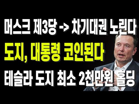 머스크 제3당 창당으로 차기대권 노린다 도지, 대통령 코인된다 테슬라 도지 최소 2천만원 홀딩
