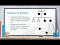 Understanding Pedigrees in Genetics
