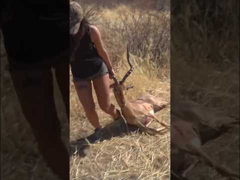 "Impala Rifle | Close-Range Hunting Quick Shot!"#Hunting#HuntingLife#HuntingVideo#QuickShot