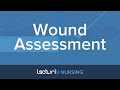Wound Assessment and Management Concepts