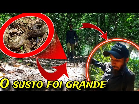 DESTA VEZ O SUSTO FOI GRANDE PASSEI POR CIMA DE UMA CASCAVEL